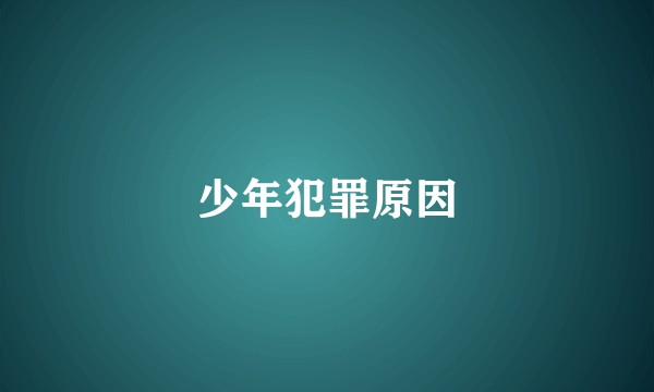 少年犯罪原因