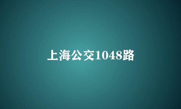 上海公交1048路