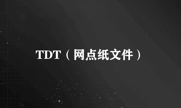TDT（网点纸文件）