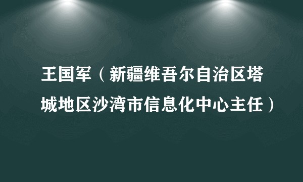 王国军(新疆维吾尔自治区塔城地区沙湾市信息化中心主任)