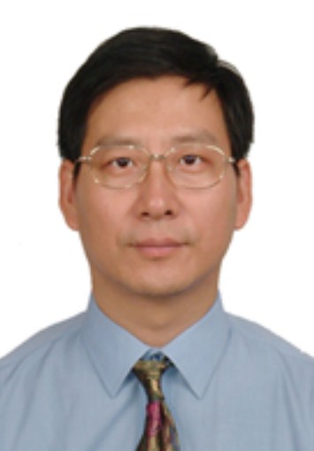 王成（山东大学教授）