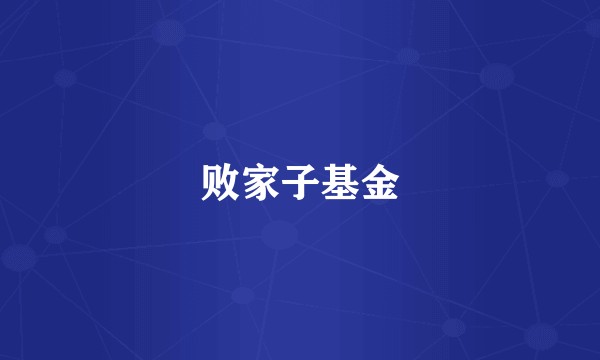 败家子基金