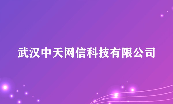 武汉中天网信科技有限公司
