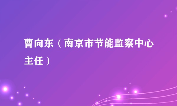 曹向东（南京市节能监察中心主任）