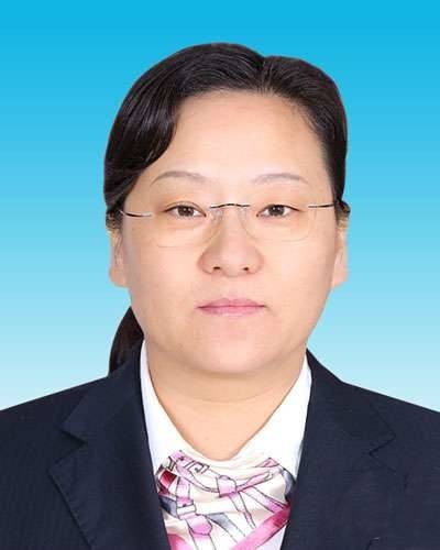 王美荣(云南省玉溪市委常委、组织部部长)