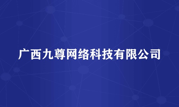 广西九尊网络科技有限公司
