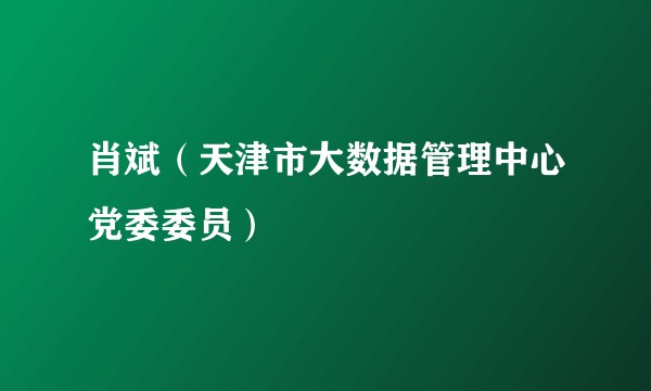 肖斌(天津市大数据管理中心党委委员)