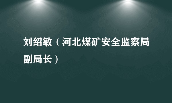 刘绍敏（河北煤矿安全监察局副局长）