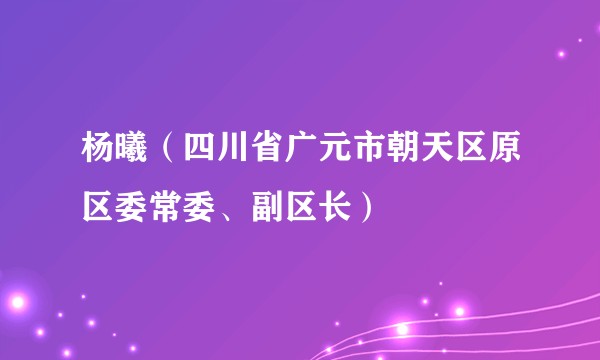 杨曦（四川省广元市朝天区原区委常委、副区长）