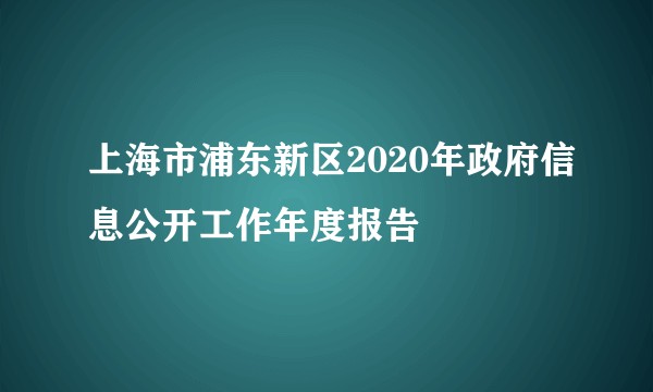 上海市浦东新区2020年政府信息公开工作年度报告