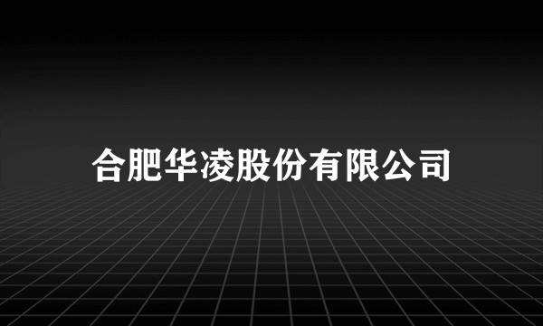 合肥华凌股份有限公司