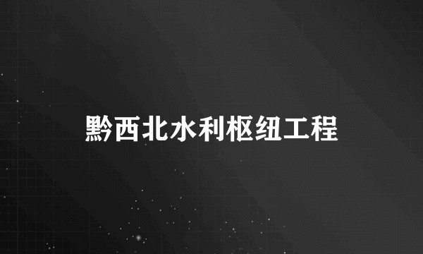 黔西北水利枢纽工程