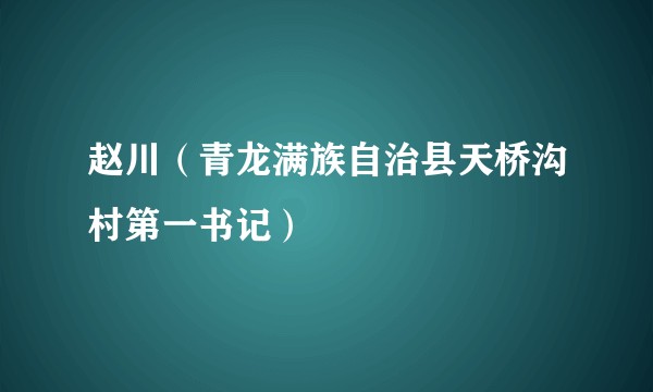 赵川(青龙满族自治县天桥沟村第一书记)