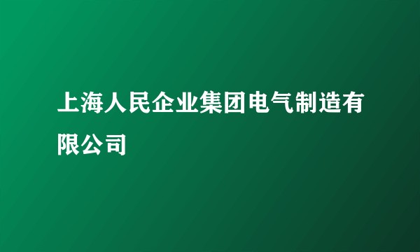 上海人民企业集团电气制造有限公司