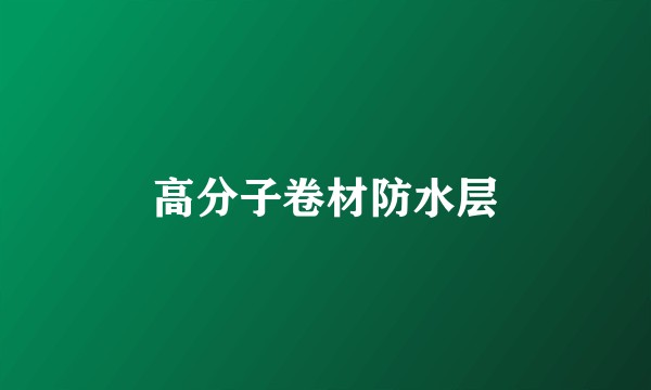 高分子卷材防水层