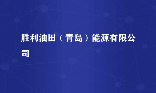 胜利油田（青岛）能源有限公司