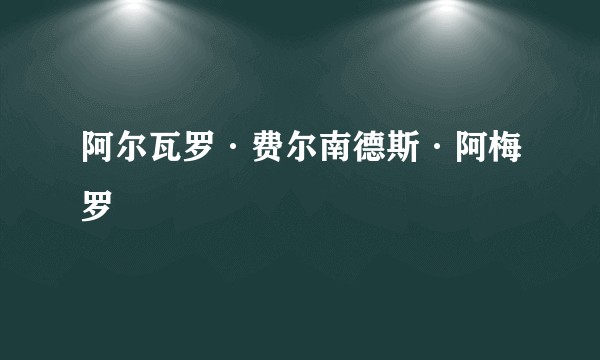 阿尔瓦罗·费尔南德斯·阿梅罗