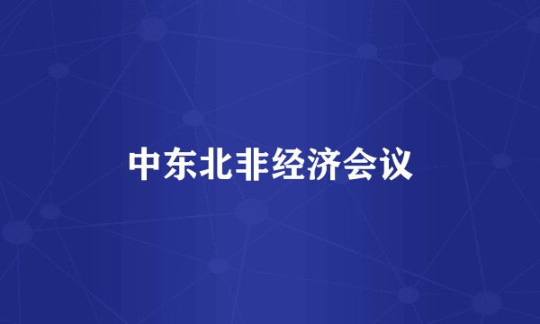中东北非经济会议