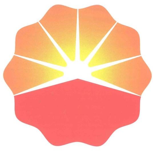 南方石油勘探开发有限责任公司