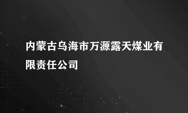 内蒙古乌海市万源露天煤业有限责任公司