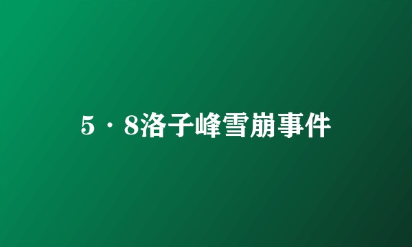 5·8洛子峰雪崩事件