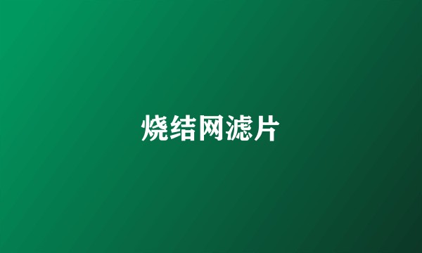 烧结网滤片