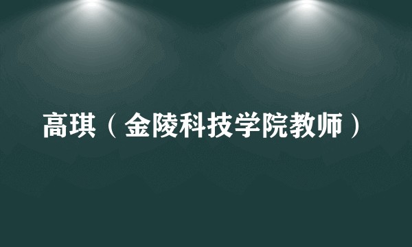 高琪(金陵科技学院教师)