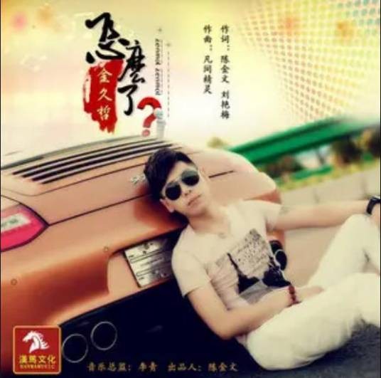 怎么了（金久哲演唱歌曲）