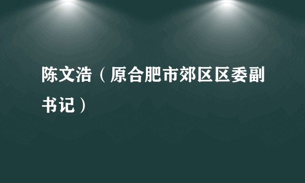 陈文浩(原合肥市郊区区委副书记)