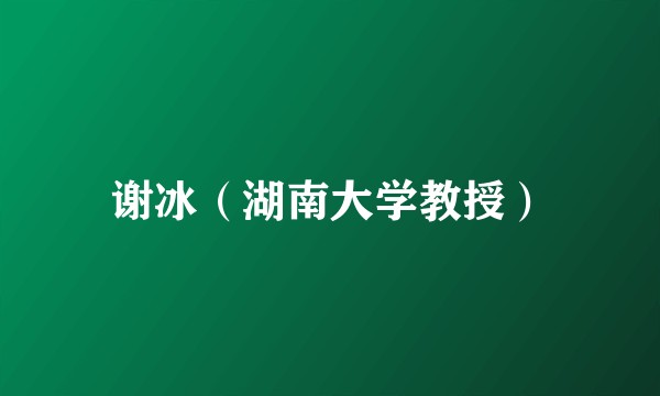 谢冰（湖南大学教授）