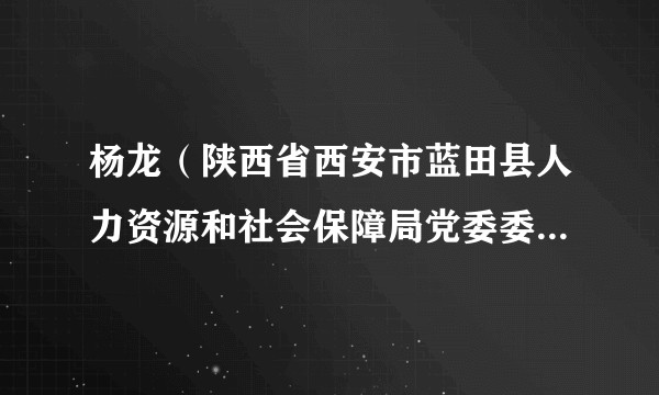 杨龙（陕西省西安市蓝田县人力资源和社会保障局党委委员、副局长）