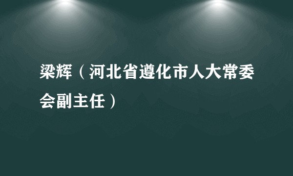 梁辉(河北省遵化市人大常委会副主任)