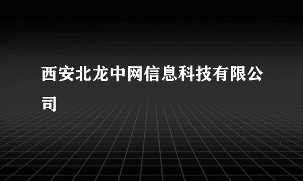 西安北龙中网信息科技有限公司