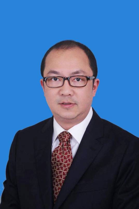 王强（北京大成（重庆）律师事务所高级合伙人）