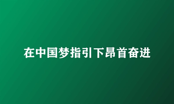 在中国梦指引下昂首奋进