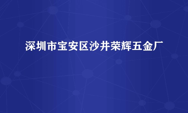 深圳市宝安区沙井荣辉五金厂