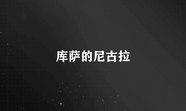 库萨的尼古拉