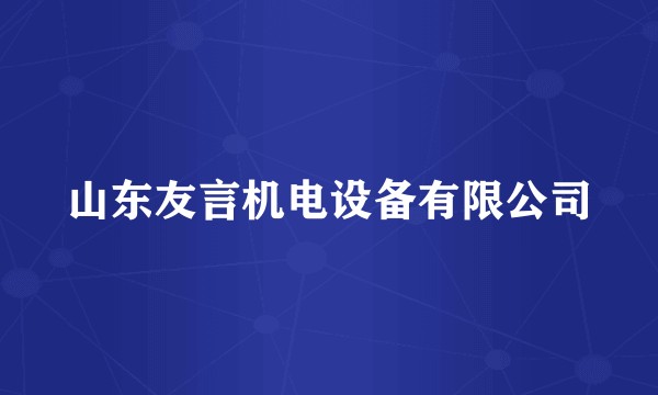 山东友言机电设备有限公司