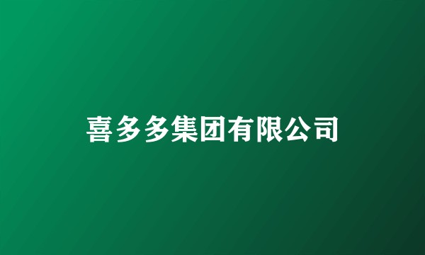 喜多多集团有限公司