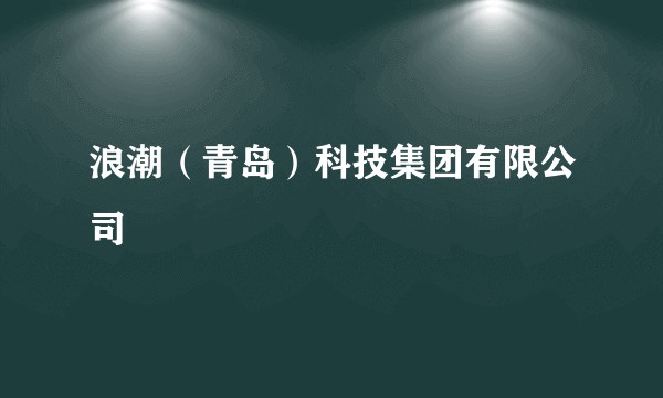 浪潮(青岛)科技集团有限公司