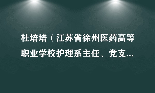 杜培培（江苏省徐州医药高等职业学校护理系主任、党支部书记）