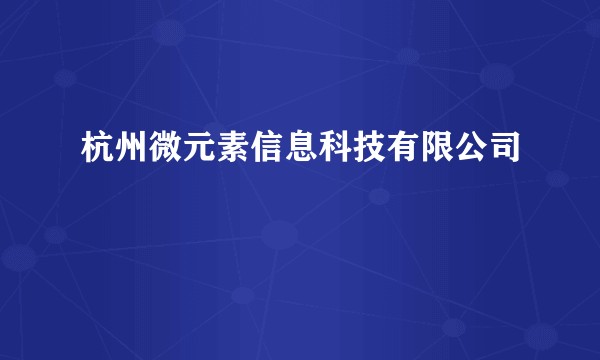 杭州微元素信息科技有限公司