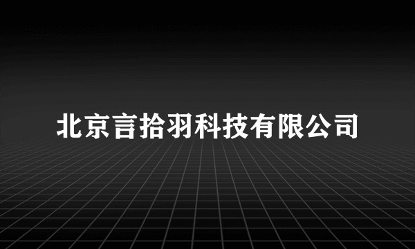 北京言拾羽科技有限公司