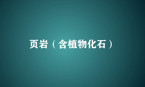 页岩（含植物化石）