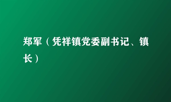 郑军（凭祥镇党委副书记、镇长）