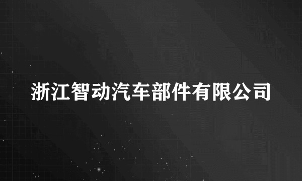 浙江智动汽车部件有限公司