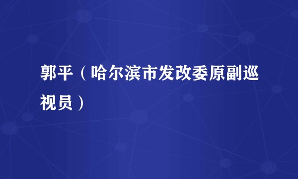 郭平（哈尔滨市发改委原副巡视员）