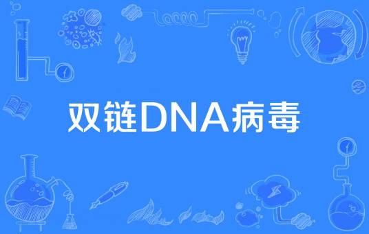 双链DNA病毒