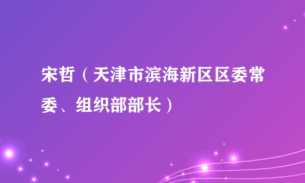 宋哲（天津市滨海新区区委常委、组织部部长）