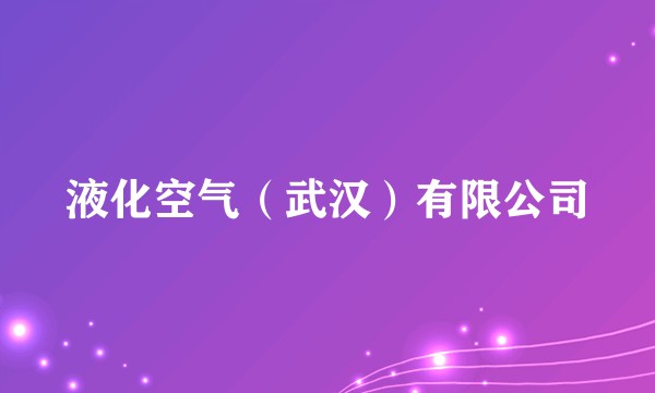 液化空气(武汉)有限公司